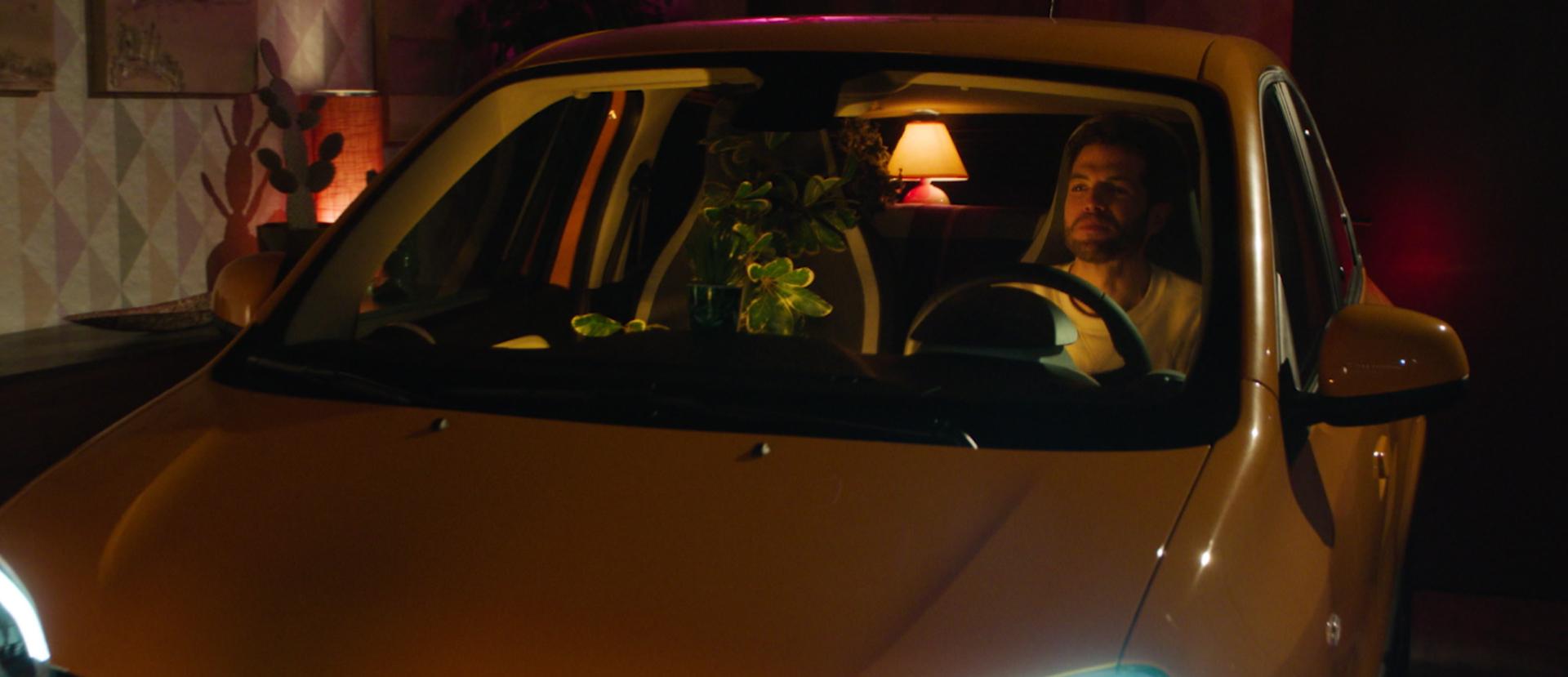 Man in auto Een man zit in de auto met een plant naast hem.